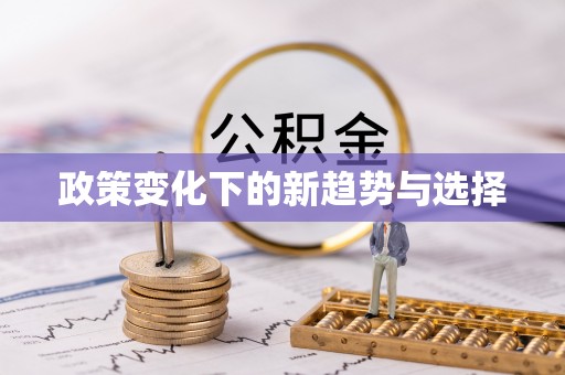 岐山政策变化下的新趋势与选择