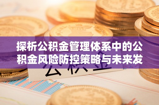 岐山探析公积金管理体系中的公积金风险防控策略与未来发展