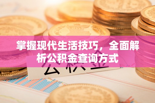 岐山掌握现代生活技巧，全面解析公积金查询方式