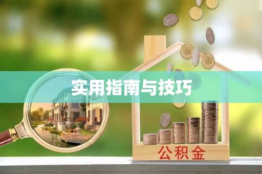 岐山实用指南与技巧