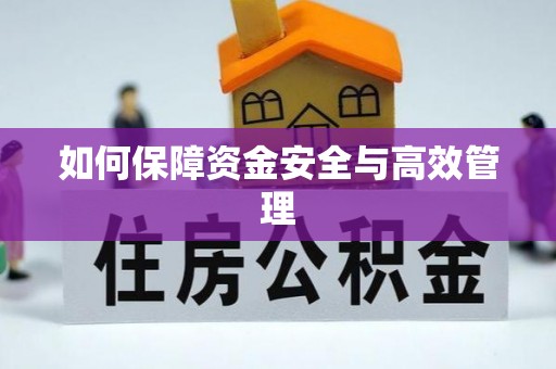 岐山如何保障资金安全与高效管理
