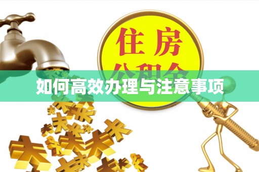 岐山如何高效办理与注意事项