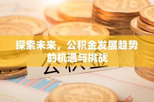 岐山探索未来，公积金发展趋势的机遇与挑战