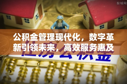 岐山公积金管理现代化，数字革新引领未来，高效服务惠及民生