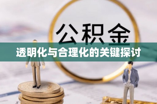 岐山透明化与合理化的关键探讨