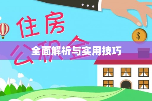 岐山全面解析与实用技巧