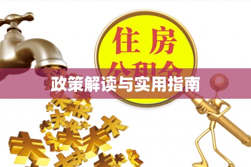 岐山政策解读与实用指南