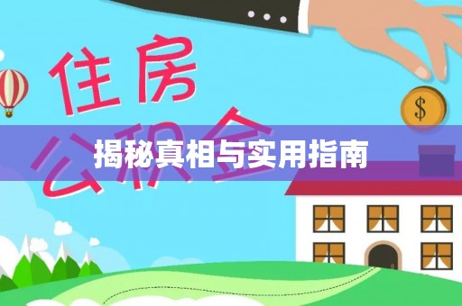 岐山揭秘真相与实用指南