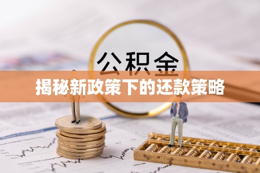 岐山揭秘新政策下的还款策略