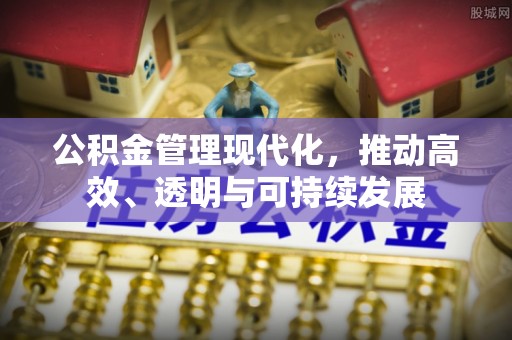 岐山公积金管理现代化，推动高效、透明与可持续发展