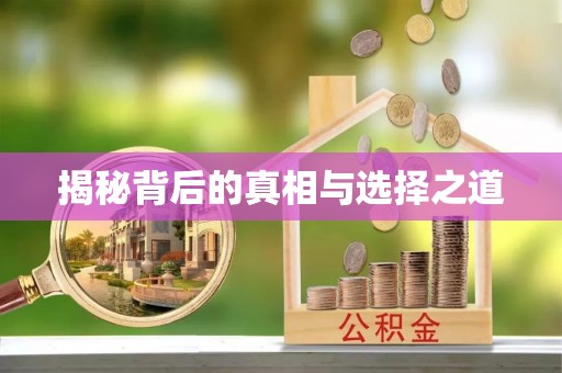 岐山揭秘背后的真相与选择之道