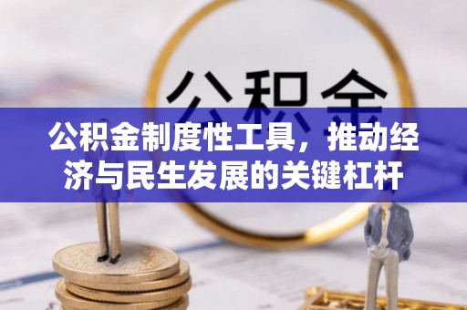 岐山公积金制度性工具，推动经济与民生发展的关键杠杆