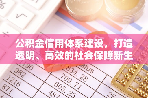 岐山公积金信用体系建设，打造透明、高效的社会保障新生态