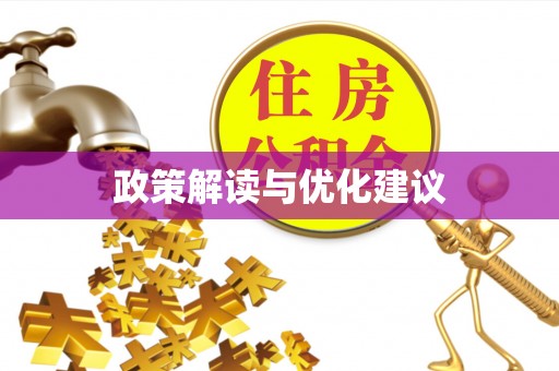 岐山政策解读与优化建议