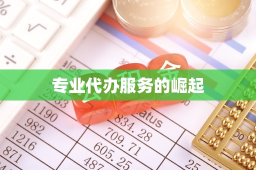 岐山专业代办服务的崛起