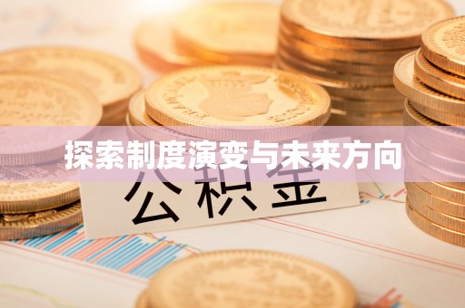 岐山探索制度演变与未来方向