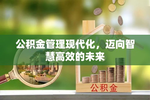 岐山公积金管理现代化，迈向智慧高效的未来