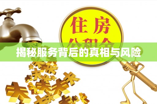岐山揭秘服务背后的真相与风险