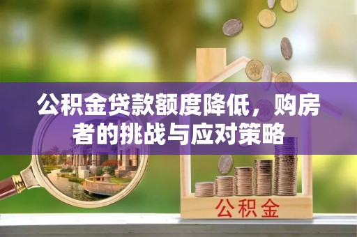 岐山公积金贷款额度降低，购房者的挑战与应对策略