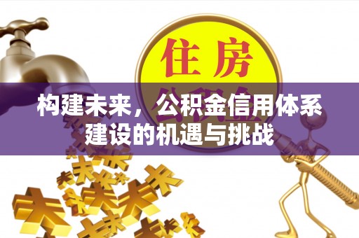 岐山构建未来，公积金信用体系建设的机遇与挑战