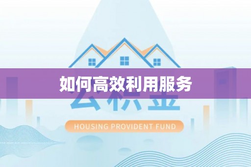 岐山如何高效利用服务