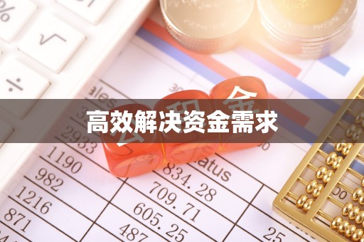 岐山高效解决资金需求