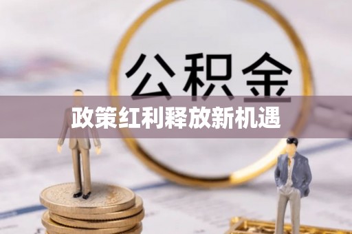 岐山政策红利释放新机遇