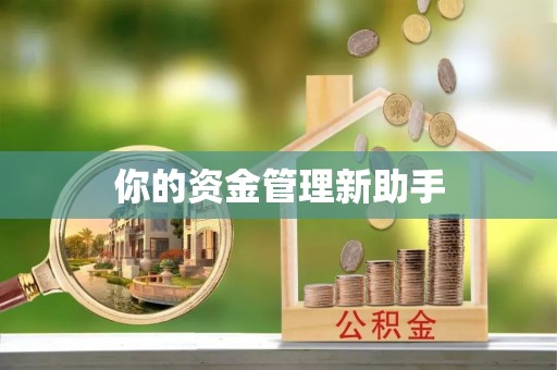 岐山你的资金管理新助手