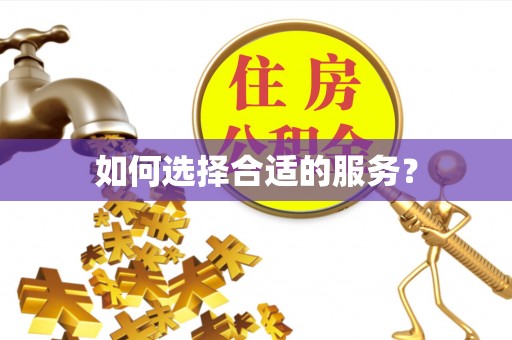 岐山如何选择合适的服务？