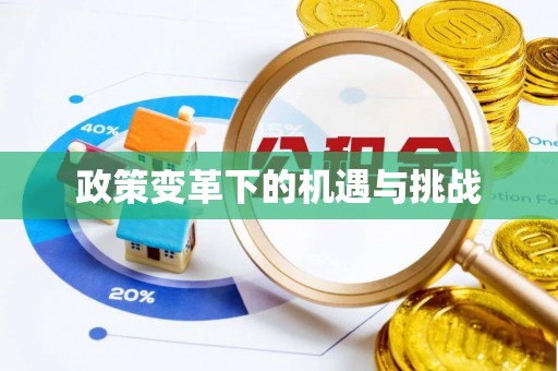岐山政策变革下的机遇与挑战