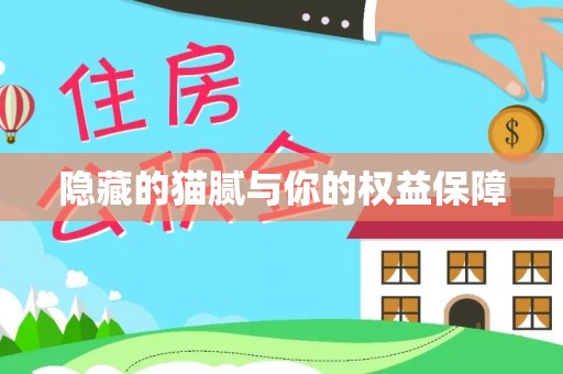 岐山隐藏的猫腻与你的权益保障