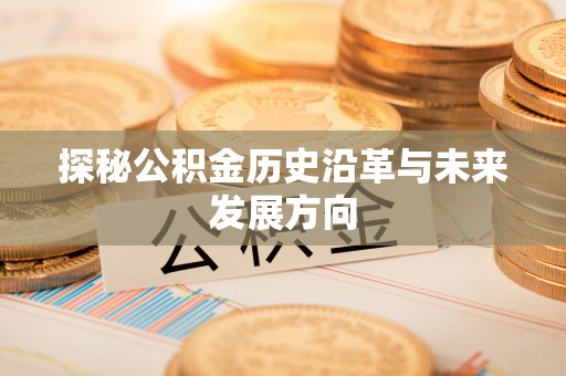 岐山探秘公积金历史沿革与未来发展方向