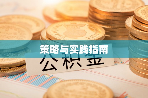 岐山策略与实践指南