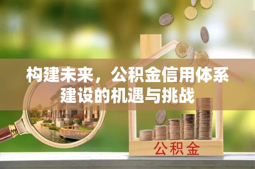 岐山构建未来，公积金信用体系建设的机遇与挑战