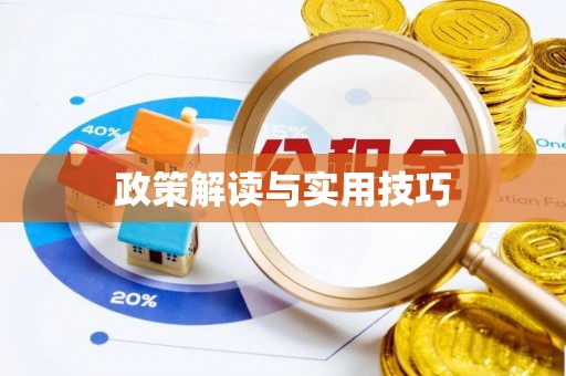 岐山政策解读与实用技巧