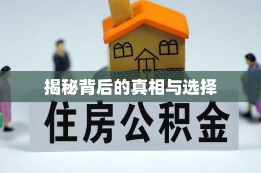 岐山揭秘背后的真相与选择