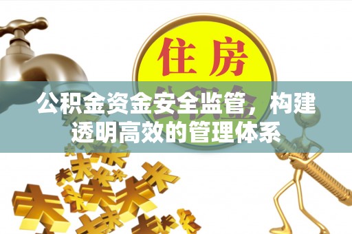 岐山公积金资金安全监管，构建透明高效的管理体系
