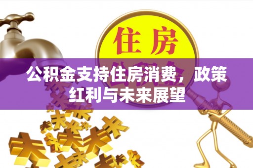 岐山公积金支持住房消费，政策红利与未来展望