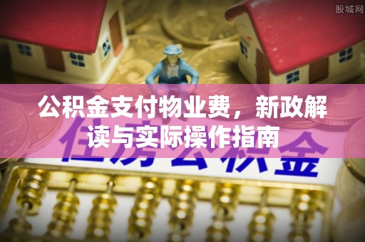 岐山公积金支付物业费，新政解读与实际操作指南
