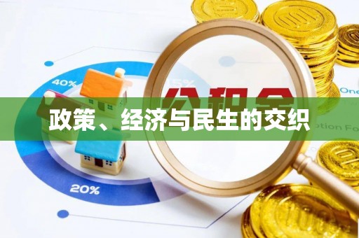 岐山政策、经济与民生的交织