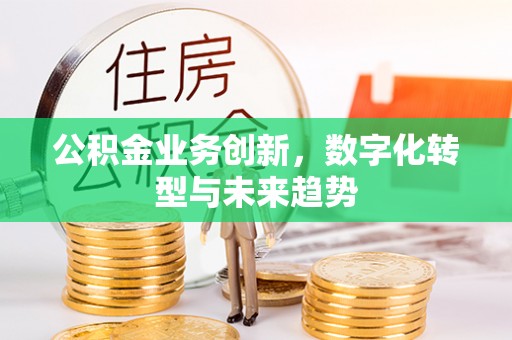 岐山公积金业务创新，数字化转型与未来趋势