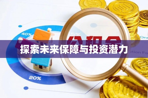 岐山探索未来保障与投资潜力