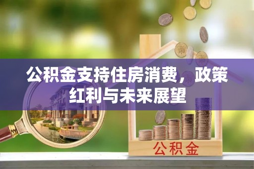 岐山公积金支持住房消费，政策红利与未来展望