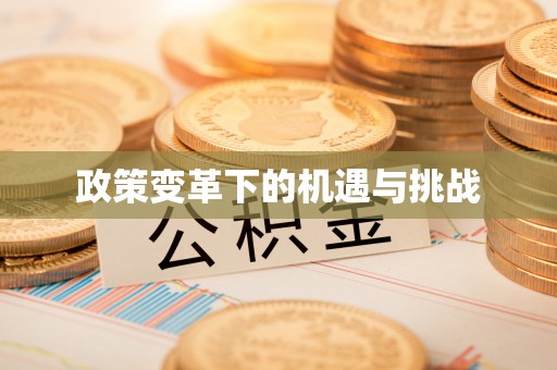 岐山政策变革下的机遇与挑战