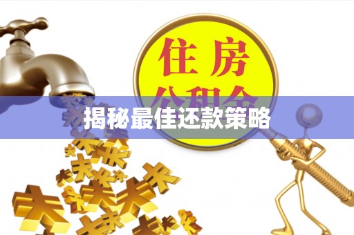 岐山揭秘最佳还款策略