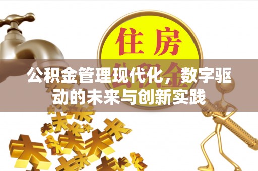 岐山公积金管理现代化，数字驱动的未来与创新实践
