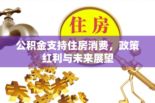 岐山公积金支持住房消费，政策红利与未来展望