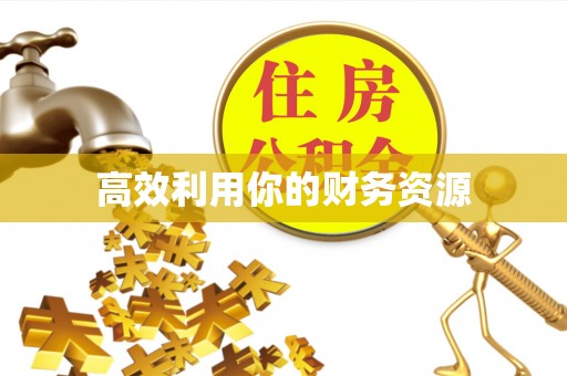 岐山高效利用你的财务资源