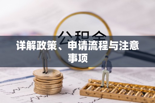 岐山详解政策、申请流程与注意事项