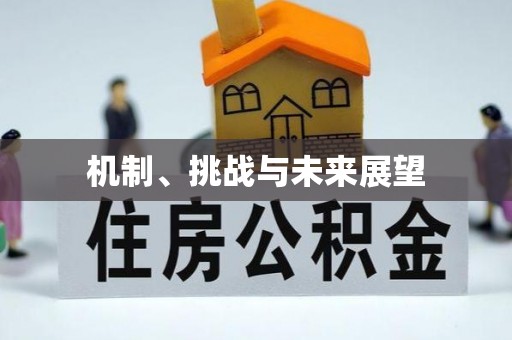 岐山机制、挑战与未来展望